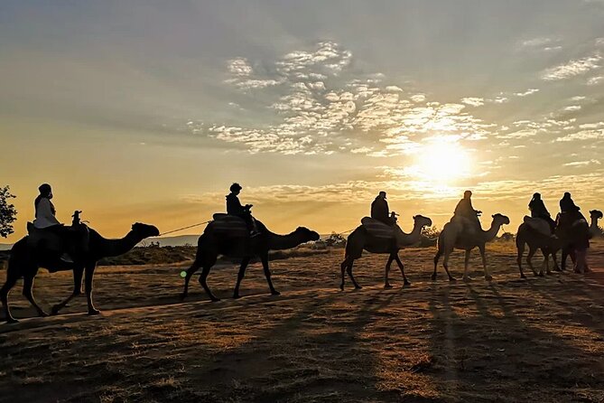 Camel Safari in Cappadocia - How the Camel Safari Experience Works in One Hour