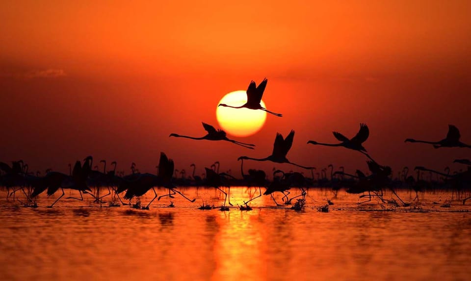Cappadocia Amazing Sunset Tour To Salt Lake - Should you book this Lake Tuz sunset tour from Cappadocia?