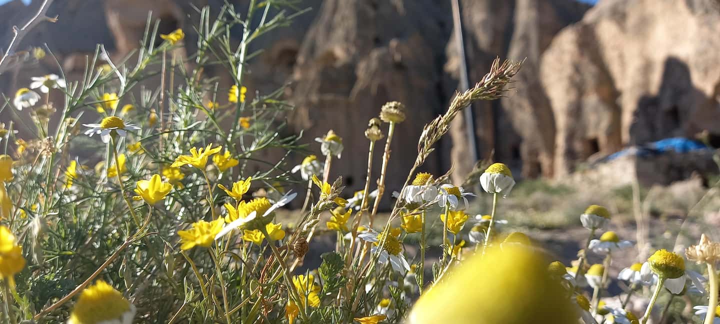 Cappadocia: Derinkuyu, Selime, Nar Crater Lake & Ihlara Tour - What to bring (and what to watch for) when it rains