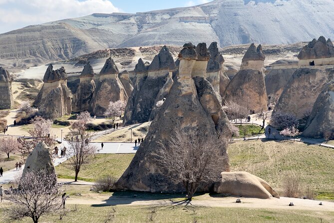 Cappadocia : Full Day Private Tour - Devrent Valley and Pigeon Valley: animal rocks and dovecotes