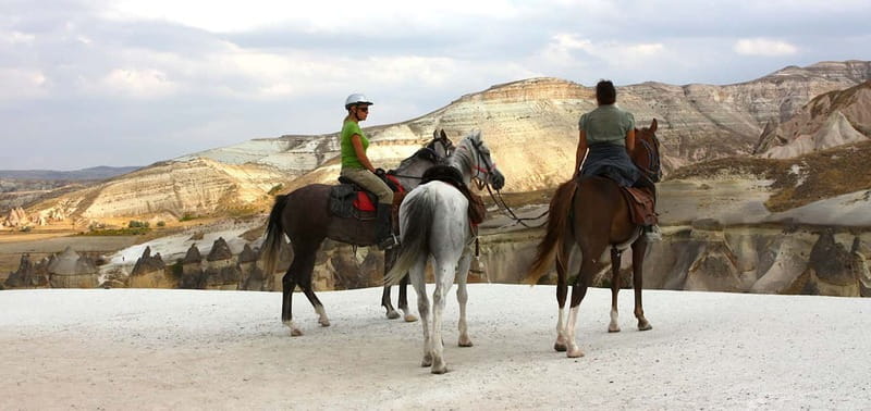 Cappadocia: Göreme Horse Riding, Fairy Chimneys w/Transfer - Meeting the Horses: Safety Briefing and First-Time Comfort