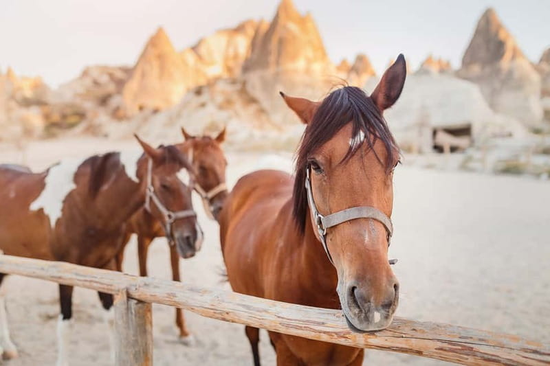 Cappadocia: Göreme Horse Riding, Fairy Chimneys w/Transfer - A Few Practical Considerations Before You Go