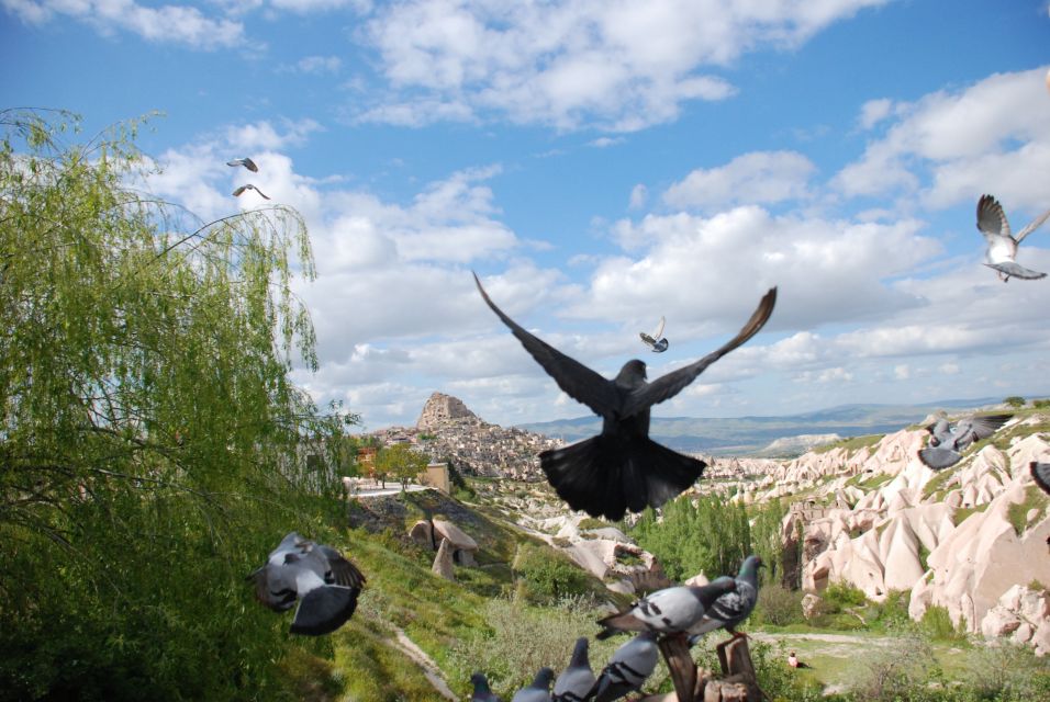 Cappadocia: Highlights Tour with Lunch and Entry Tickets - Fairy Chimneys Near Cavusin and Pasabag: The Best “Wow” Shapes