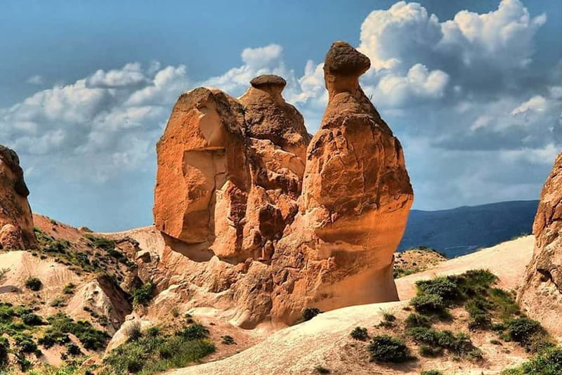 Cappadocia: North Tour (Red Tour) - Devrent Imagination Valley: Rocks That Read Like Animal Shapes