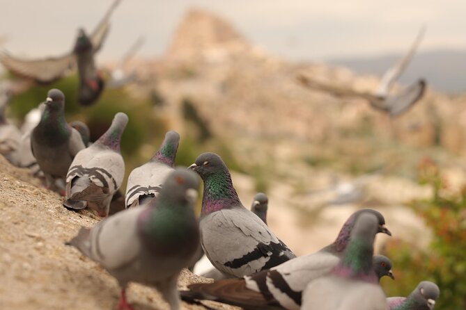 Cappadocia Private Guided Tour(Car&Licensed Guide) - Stop 1: Göreme Panorama for the Big Pictures First