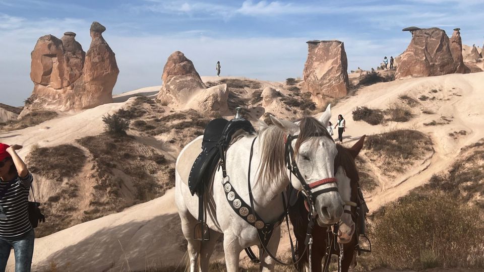 Cappadocia: Small-Group North Tour - Devrent Valley: A Lunar-Style Start to Your Photo Hunt