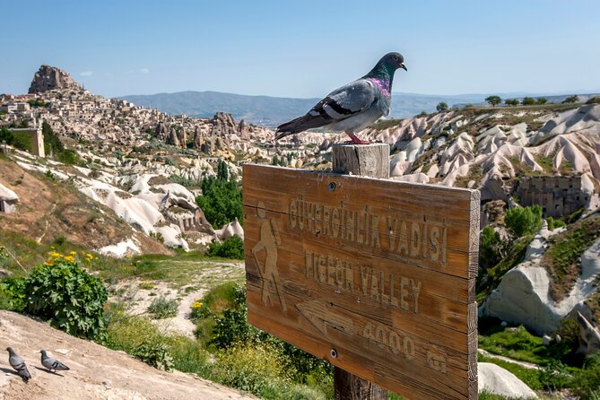 Full Day Private Cappadocia Tour (Guide & Driver) - Pigeon Valley and Fairy Chimneys: Fast Viewpoints to an Open-Air Museum