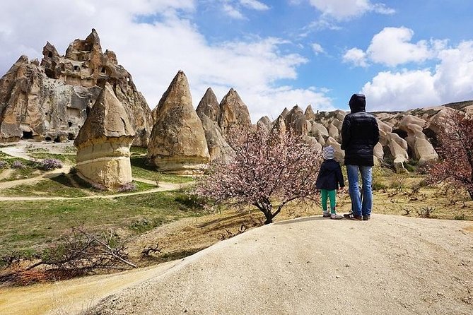 Full Day Private Cappadocia Tour (Luxury Van + Private Guide ) - Devrent Imagination Valley: animal rock shapes that spark stories
