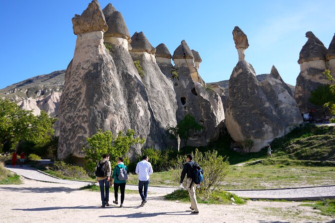 Highlights of Cappadocia All in One Tour - Devrent Valley (Imagination Valley): Animal-Shaped Rock Formations