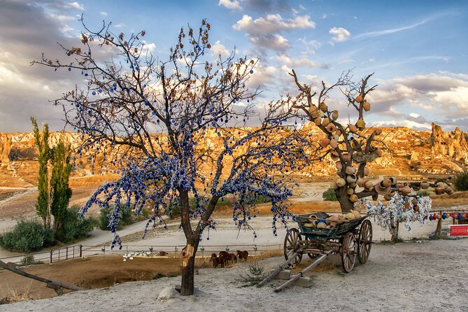 Private Cappadocia Tour with Underground City (Guide & Driver) - Price and value: what $17.60 buys, and what you’ll still pay